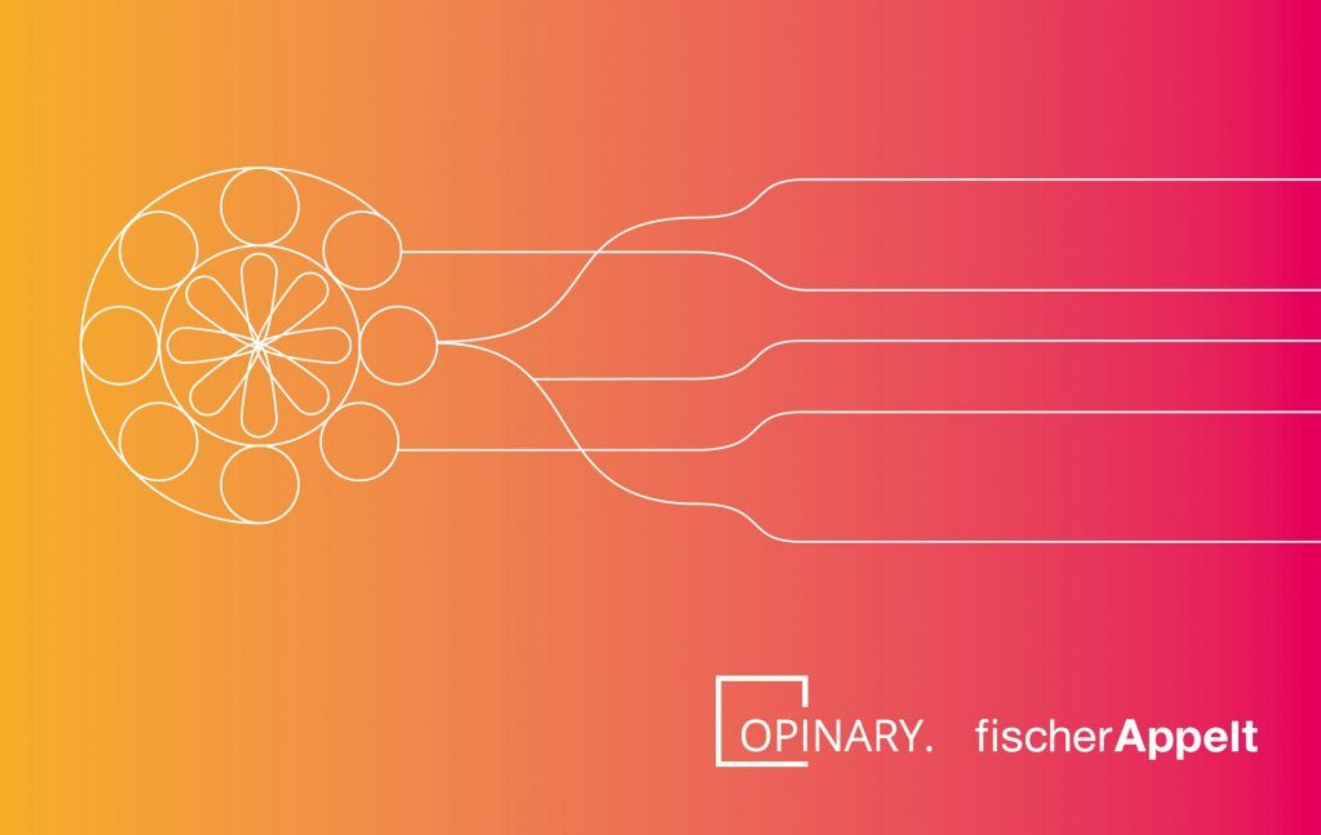 Blog OMR19