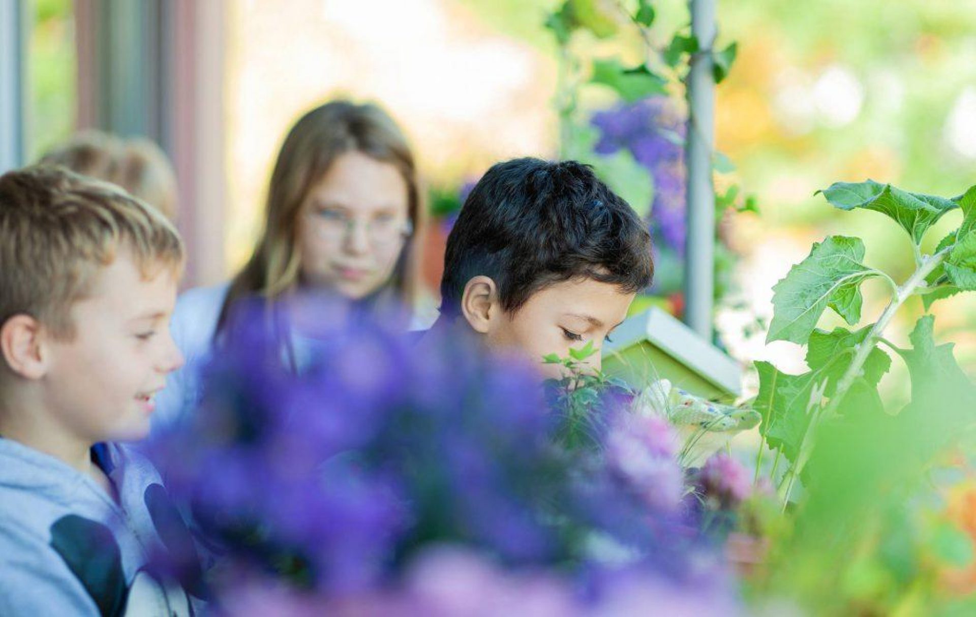 Substral Kinder Gardening fischer Appelt Influencer Marketing Evergreen Garden Care