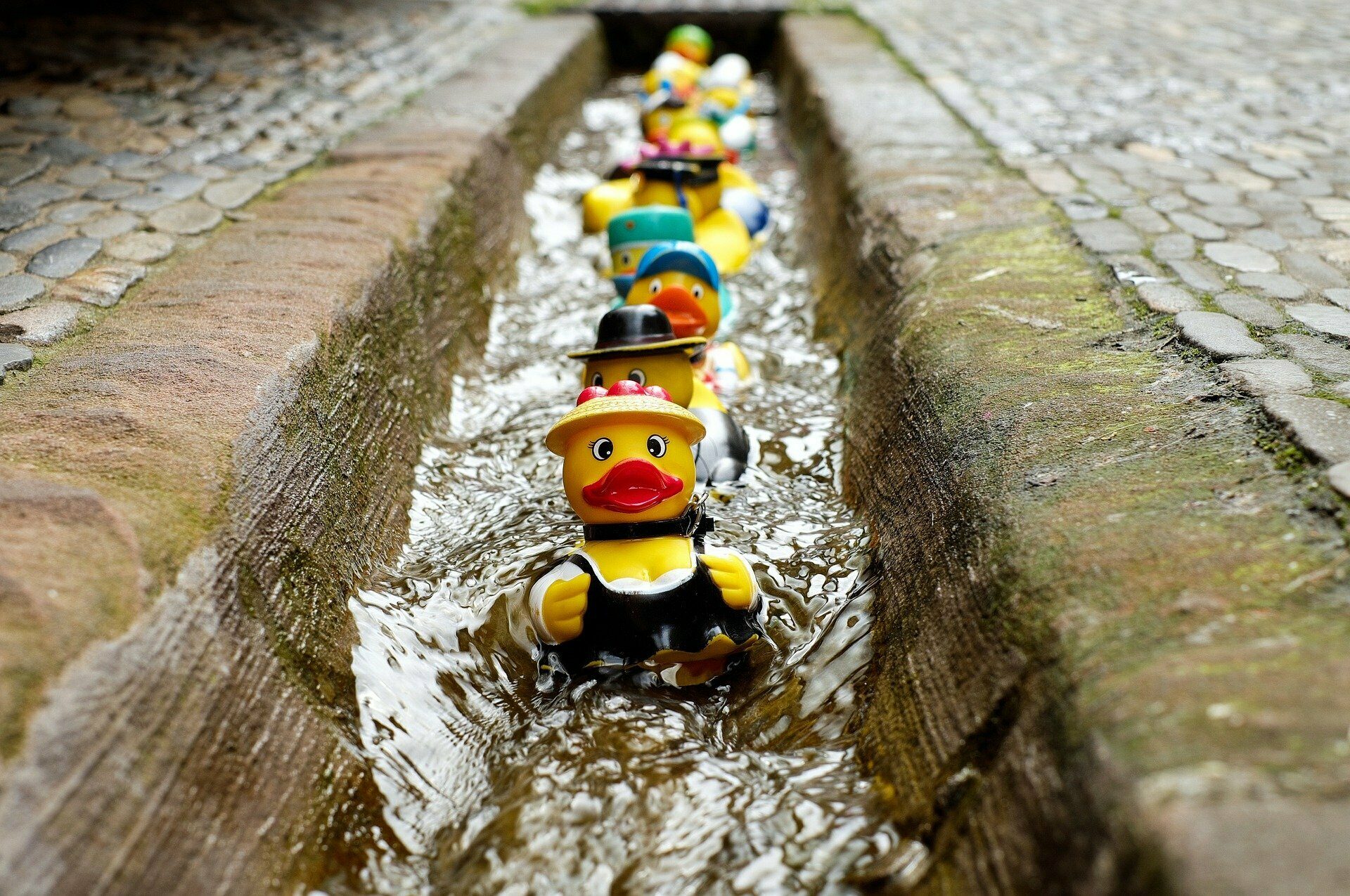 Rubber Ducks